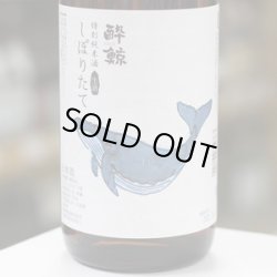 画像3: 酔鯨　特別純米酒　しぼりたて生酒　1.8L