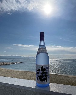 画像5: 25°海 1.8L