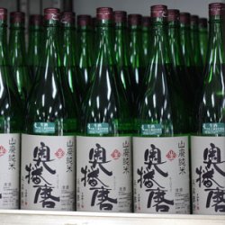 画像1: 奥播磨 山廃純米 兵庫夢錦60 生 1.8L