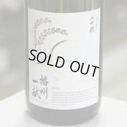 画像1: 播州一献 純米吟醸 山田穂 1.8L
