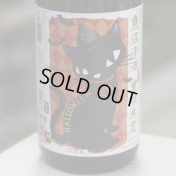 画像2: 豊醇無盡たかちよ 純米大吟醸 扁平精米無ろ過生原酒 HALLOWEEN custommade 1.8L