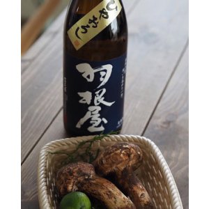 画像: 羽根屋 純米吟醸ひやおろし 1.8L