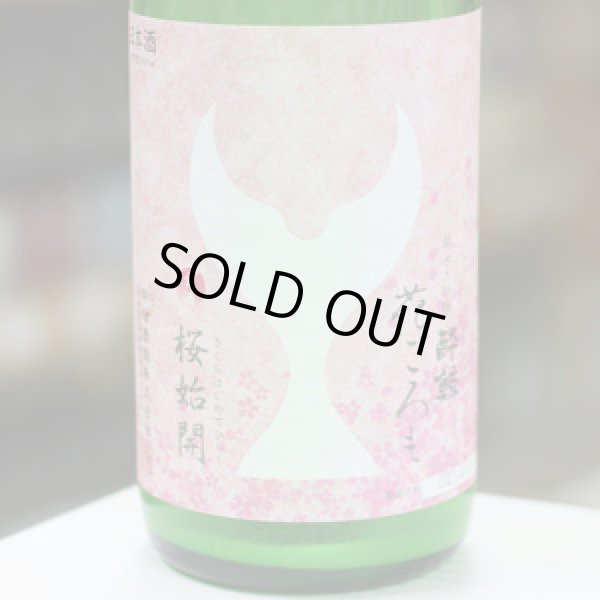 画像1: 酔鯨 純米大吟醸 花ごろも 生酒 1.8L
