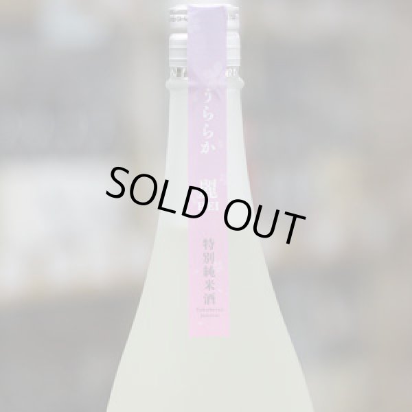 画像1: 伊予賀儀屋 成龍然 SEIRYO ZEN 特別純米 生 うららか/麗 REI 1.8L