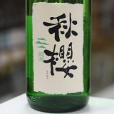 画像: 富久長 秋櫻〈コスモス〉純米 ひやおろし 1.8L