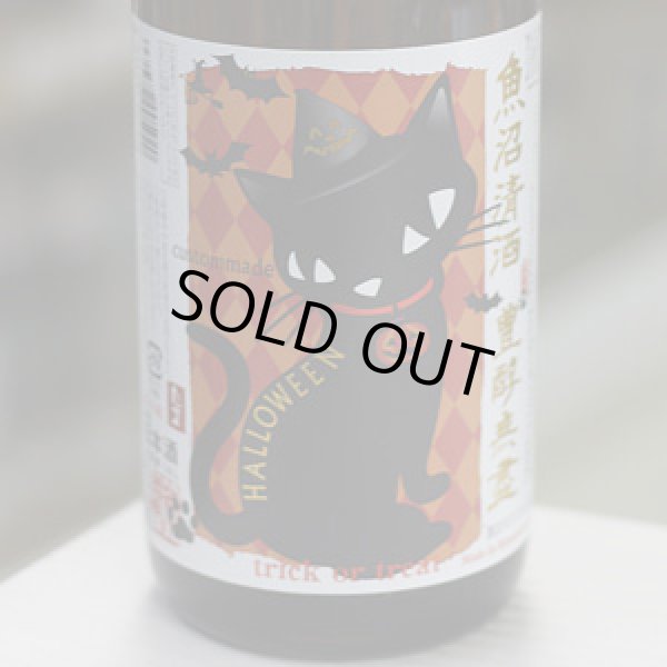画像2: 豊醇無盡たかちよ 純米大吟醸 扁平精米無ろ過生原酒 HALLOWEEN custommade 1.8L